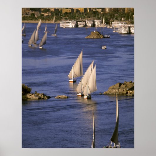 Afrika, Ägypten, Oberägypten, Assuan. Feluccas Poster (Vorne)