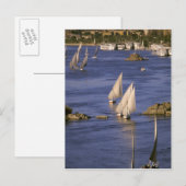 Afrika, Ägypten, Oberägypten, Assuan. Feluccas Postkarte (Vorne/Hinten)