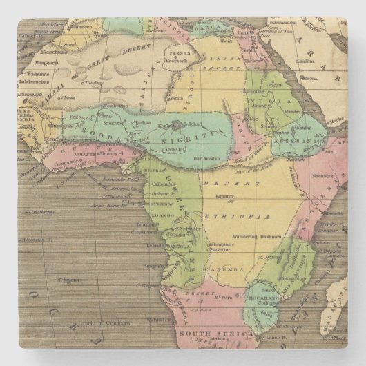 Afrika, atlantisch steinuntersetzer (Vorderseite)