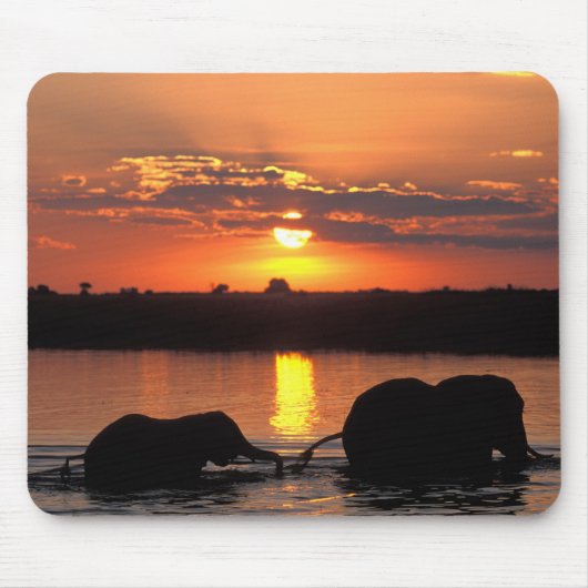 Afrika, Botsuana, Chobe National Park, Herde Mousepad (Vorne)