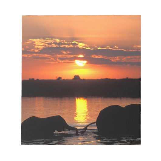Afrika, Botsuana, Chobe National Park, Herde Notizblock (Vorderseite)