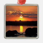 Afrika, Botsuana, Chobe National Park, Herde Ornament Aus Metall (Vorne)