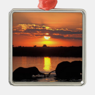 Afrika, Botsuana, Chobe National Park, Herde Ornament Aus Metall