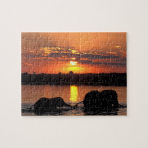 Afrika, Botsuana, Chobe National Park, Herde Puzzle