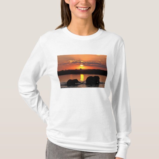 Afrika, Botsuana, Chobe National Park, Herde T-Shirt (Vorderseite)