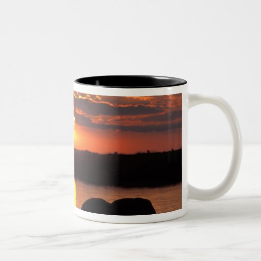 Afrika, Botsuana, Chobe National Park, Herde Zweifarbige Tasse (Rechts)