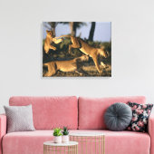 Afrika, Botsuana, Chobe National Park, Lionesses Leinwanddruck (Insitu (Wohnzimmer))
