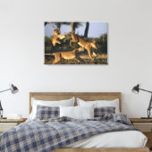 Afrika, Botsuana, Chobe National Park, Lionesses Leinwanddruck (Insitu (Schlafzimmer))