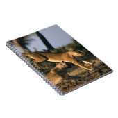 Afrika, Botsuana, Chobe National Park, Lionesses Notizblock (Rechte Seite)