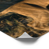 Afrika, Botsuana, Chobe National Park, Lionesses Poster (Ecke)