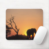 Afrika, Botsuana, Chobe National Park, Setting Mousepad (Mit Mouse)