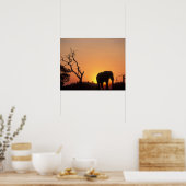 Afrika, Botsuana, Chobe National Park, Setting Poster (Küche)