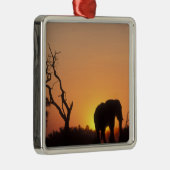 Afrika, Botsuana, Chobe National Park, Setting Silbernes Ornament (Rechts)