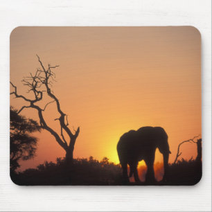 Afrika, Botsuana, Chobe-Nationalpark, Einstellung Mousepad