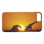 Afrika, Botsuana, Chobe-Nationalpark, Giraffe 2 Case-Mate iPhone Hülle (Rückseite (Horizontal))