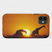 Afrika, Botsuana, Chobe-Nationalpark, Giraffe 2 Case-Mate iPhone Hülle (Rückseite (Horizontal))