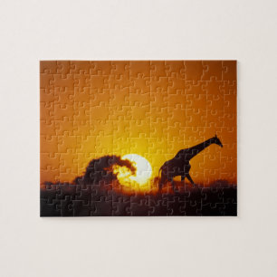 Afrika, Botsuana, Chobe-Nationalpark, Giraffe 2 Puzzle