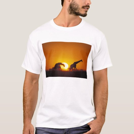 Afrika, Botsuana, Chobe-Nationalpark, Giraffe 2 T-Shirt (Vorderseite)