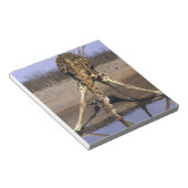 Afrika, Botsuana, Chobe-Nationalpark, Giraffe Notizblock (angewinkelt)