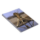 Afrika, Botsuana, Chobe-Nationalpark, Giraffe Notizblock (Rechte Seite)