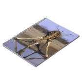 Afrika, Botsuana, Chobe-Nationalpark, Giraffe Notizblock (Linke Seite)