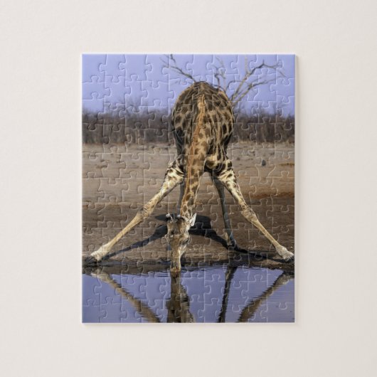 Afrika, Botsuana, Chobe-Nationalpark, Giraffe Puzzle (Vertikal)