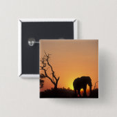 Afrika, Botsuana, Chobe-Nationalpark, Szene Button (Vorne & Hinten)