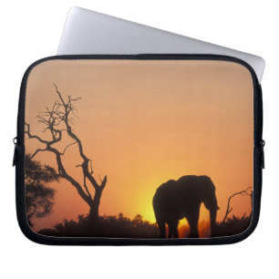 Afrika, Botsuana, Chobe-Nationalpark, Szene Laptopschutzhülle