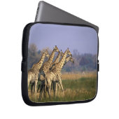 Afrika, Botsuana, Moremi-Wildreservat Laptopschutzhülle (Vorne Rechts)