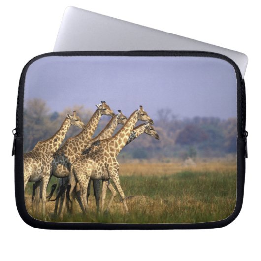 Afrika, Botsuana, Moremi-Wildreservat Laptopschutzhülle (Vorderseite)