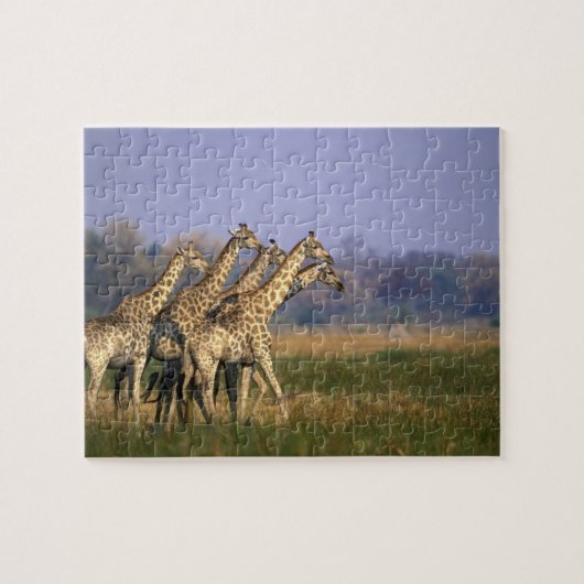 Afrika, Botsuana, Moremi-Wildreservat Puzzle (Horizontal)