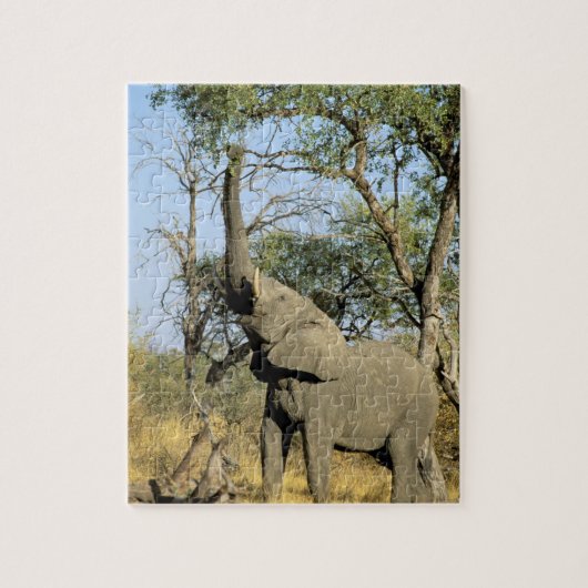 Afrika, Botsuana, Okavango-Delta. Afrikanisch 2 Puzzle (Vertikal)