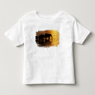 Afrika, Botsuana, Okavango-Delta. Afrikanisch Kleinkind T-shirt