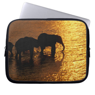 Afrika, Botsuana, Okavango-Delta. Afrikanisch Laptopschutzhülle