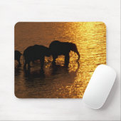 Afrika, Botsuana, Okavango-Delta. Afrikanisch Mousepad (Mit Mouse)