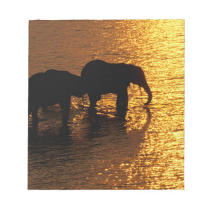 Afrika, Botsuana, Okavango-Delta. Afrikanisch Notizblock