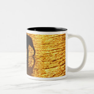 Afrika, Botsuana, Okavango-Delta. Afrikanisch Zweifarbige Tasse