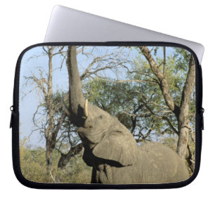 Afrika, Botsuana, Okavango-Delta. Afrikanischer 2 Laptopschutzhülle