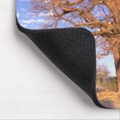 Afrika, Botsuana, Okavango-Delta. Baobab Mousepad (Ecke)