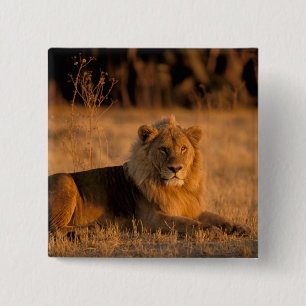 Afrika, Botsuana, Okavango-Delta Button