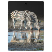 Afrika, Botsuana, Okavango-Delta, Davison-Lager Klemmbrett (Rückseite)