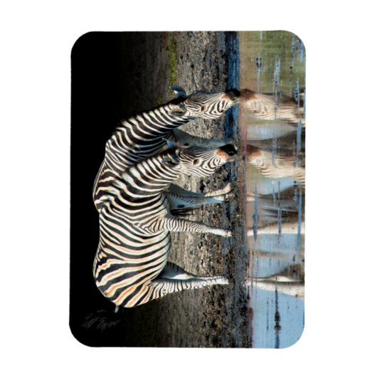 Afrika, Botsuana, Okavango-Delta, Davison-Lager Magnet (Vertikal)