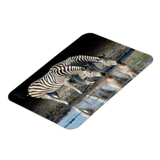 Afrika, Botsuana, Okavango-Delta, Davison-Lager Magnet (Linke Seite)