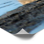 Afrika, Botsuana, Okavango-Delta, Davison-Lager Poster (Ecke)