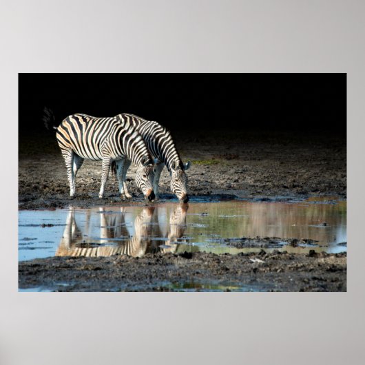 Afrika, Botsuana, Okavango-Delta, Davison-Lager Poster (Vorne)
