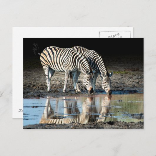 Afrika, Botsuana, Okavango-Delta, Davison-Lager Postkarte (Vorne/Hinten)