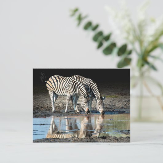 Afrika, Botsuana, Okavango-Delta, Davison-Lager Postkarte (Stehend Vorderseite)