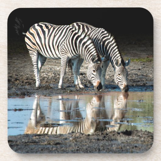 Afrika, Botsuana, Okavango-Delta, Davison-Lager Untersetzer (Vorderseite)