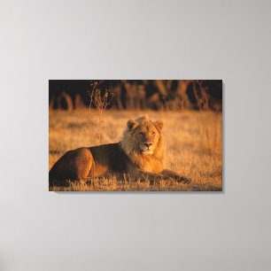 Afrika, Botsuana, Okavango-Delta Leinwanddruck