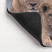 Afrika, Botsuana, Okavango-Delta. Löwen Mousepad (Ecke)